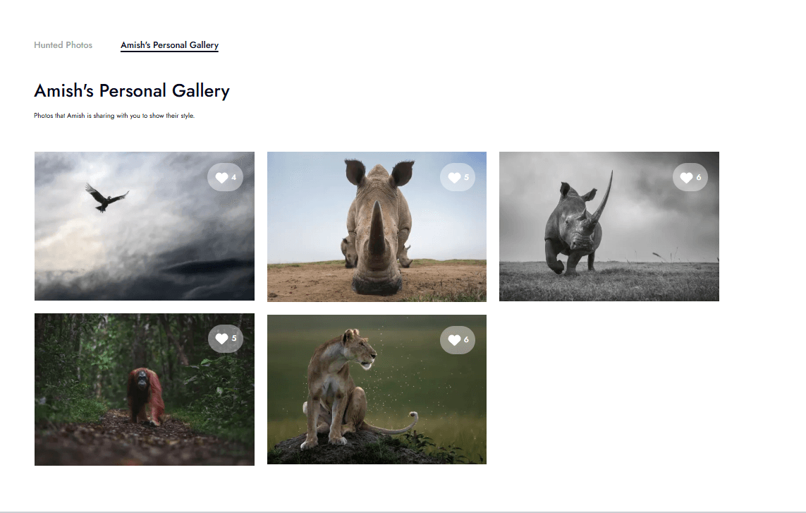 Personal Gallery & Portfolio Grid